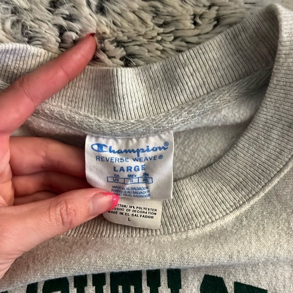 Plymouth state university sweatshirt, large, champian, very comfy, like-new - Picture 2 of 2